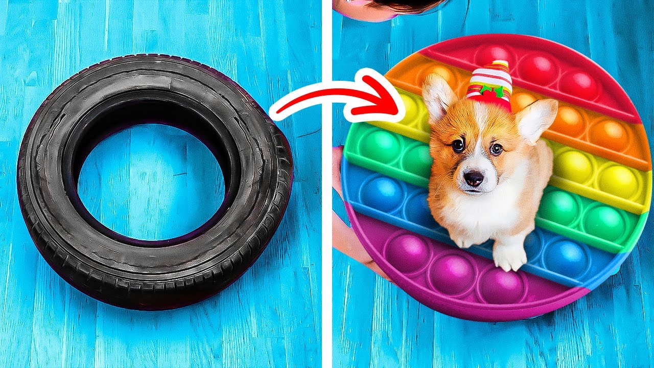 CUTE PET HACKS || Cheap Crafts For Pets And Smart Gadgets That Will Ease Your Life