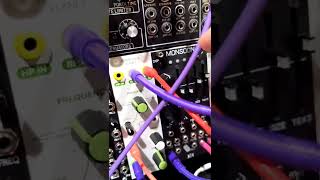 #MakeMusicEveryDay - drums + bass on #eurorack