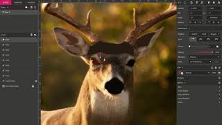 GRAVIT: Low Poly Deer screenshot 3