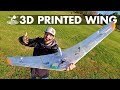 Are 3D printed wings for you?? // The Eclipson EBW-160 "Black Wing"