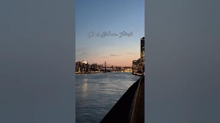 A few moments along the East River at Carl Schurz Park in the Upper East Side #nyclife #nycvlog #nyc