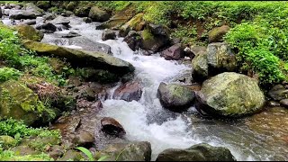 Sleepy Cascades: ASMR River Flow Sounds for Insomnia Solutions | LuLu Sounds
