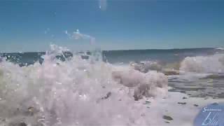 Your View of Sandbridge Beach: Nothing like a day on the bay