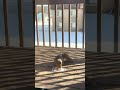 My New Neighbour: It is enjoying Peanuts