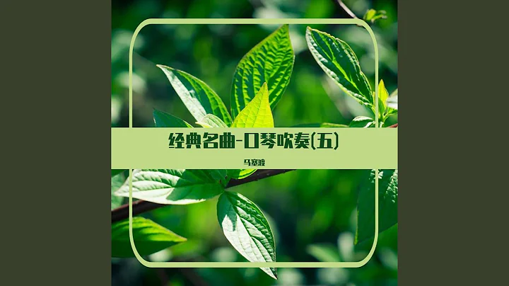 母亲 (口琴吹奏) - 天天要闻