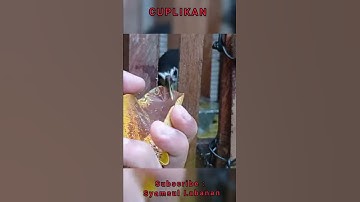 Asiknya Ruak Ruak Mandi