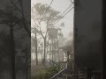 wtf is up with that horse | #mayhemwailer #fyp #rdr2 #gaming #lol #twitch #kick