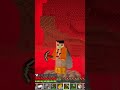 POV sei nel nether e ti chiami baddi #shorts