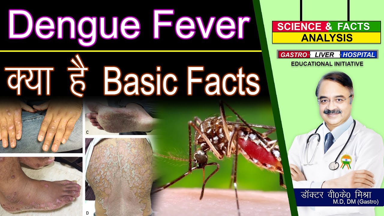 डेंगू Fever क्या है Basic Facts || DENGUE WHAT YOU NEED TO KNOW