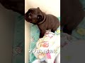 ママがいなくて大泣きの赤ちゃん