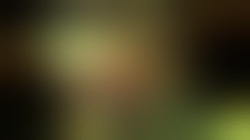 Adobe after effects template  AE project Dual Reality VideoHive CS4 AE project file