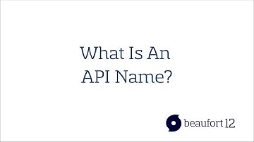 What Is An API Name?