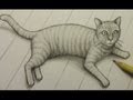 How to Draw a Cat