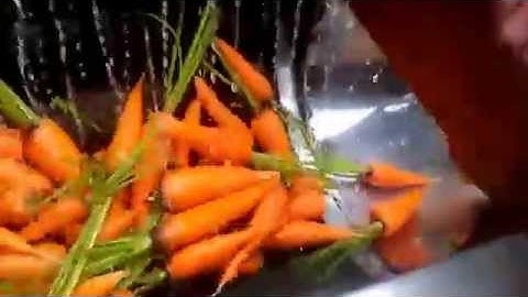 MÁY RỬA CÀ RỐT - KHOAI LANG - CỦ CẢI