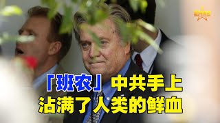 「班农」中共手上沾满了人类的鲜血   中共一面隐藏疫情真相一面囤积卖光医疗物资