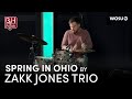 Spring in ohio by zakk jones trio  broad  high presents