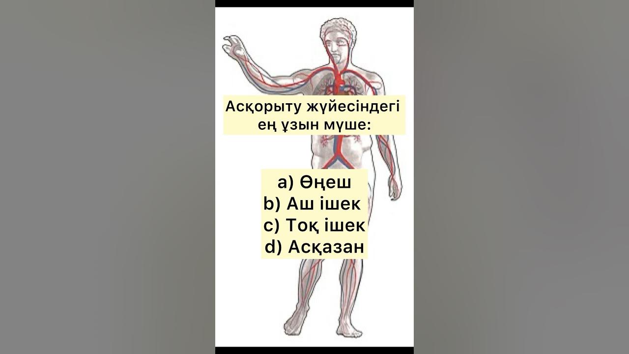 Сексуалдық ескі әйелдер