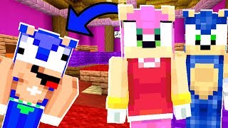 Minecraft Sonic The Hedgehog  Amy Gives Birth To Baby Sonic! [48]