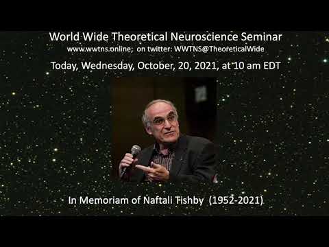 Through the bottleneck: my adventures with the 'Tishby program' recording thumbnail