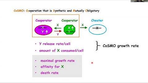 Wenying Shou - How could math possibly hurt you?