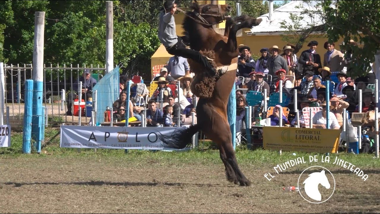 Segunda Fecha Campeonato Cordobés y 80 Ediciones Las Varillas - El Mundial de la Jineteada 182