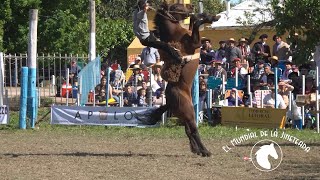 Segunda Fecha Campeonato Cordobés y 80 Ediciones Las Varillas - El Mundial de la Jineteada 182