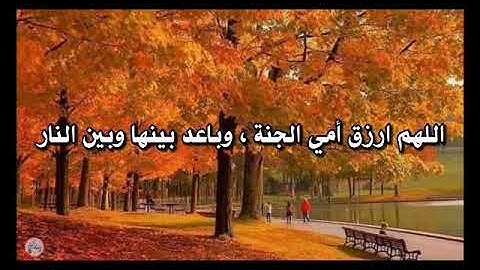 سورة الأعراف من الآية ٧١ إلى الآية ٨٠