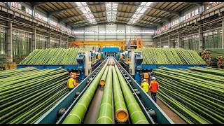 You won't believe how American farmers produce 100 million bamboo plants a year!