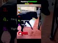 😂 Top 5 Dog Fails You Have to See! 🐶#DogFails #FunnyDogs #DogVideos #TryNotToLaugh #YouTubeShorts