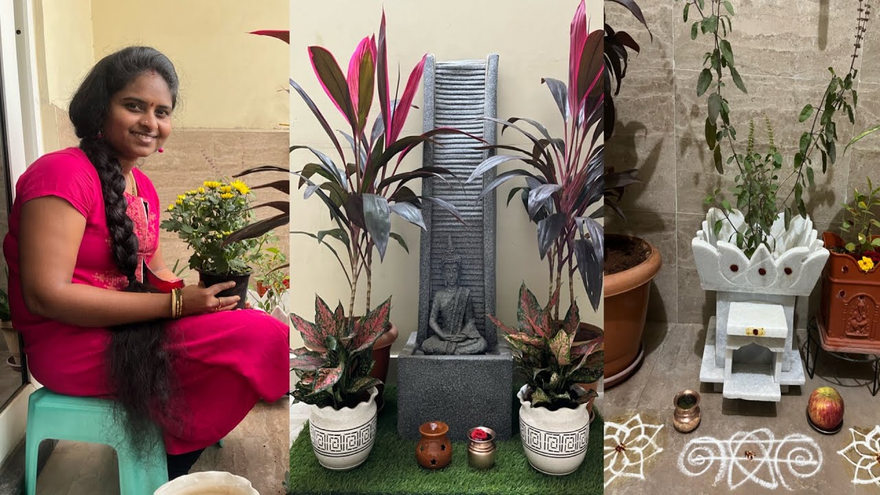 ఒకటి కొనటానికి వెళ్లి ఎన్ని కోనుకొచ్చానో😂 Tulasi Kota plants and