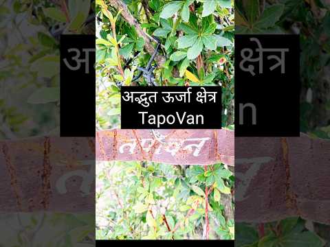 TapoVan, DevBhoomi Uttrakhand #shorts #travel