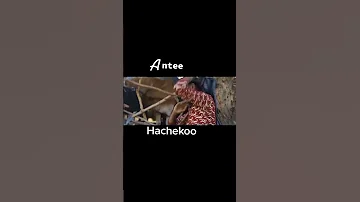 Haacaaluu Hundessa Legends Never Die Rest In Peace Haacee Koo Oromo Shorts 