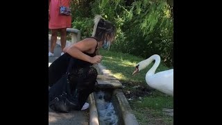 Birds Attack People - Funny Reaction! | Angry Birds Attacking People | Birds Pissed off on Humans