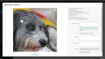 Cách thêm các Block để tạo bài đăng trong WordPress | Hướng dẫn chi tiết Gutenberg (2025)