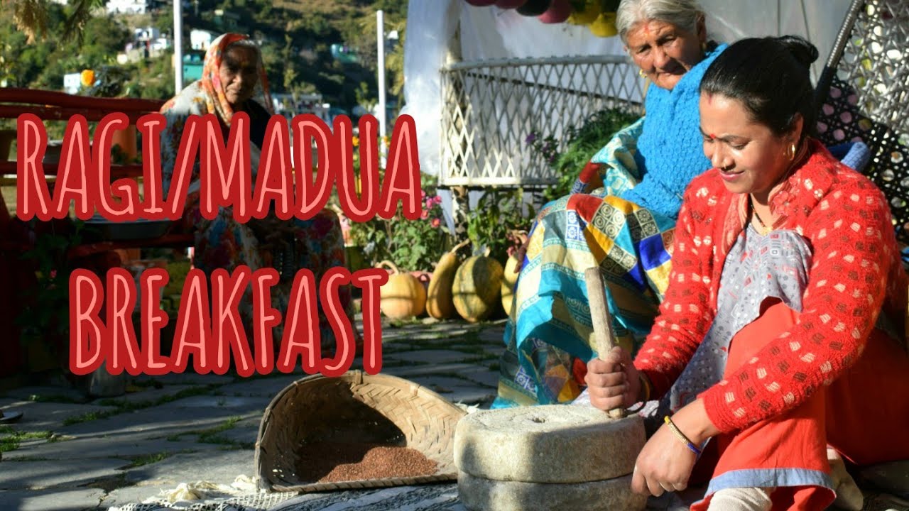 Madua Ragi Breakfast Cooking In Pushpa Vatika World s Healthiest madua-ragi-breakfast-cooking-in-pushpa-vatika-world-s-healthiest