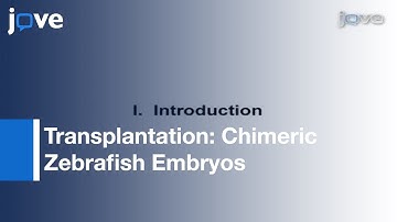 GFP-Expressing Blastomeres For Live Imaging: Retinal & Brain Development l Protocol Preview