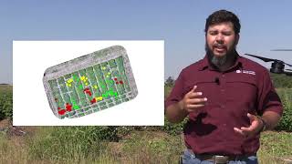Texas Scientists Use Drone Spot Sprayers to Fight Weeds
