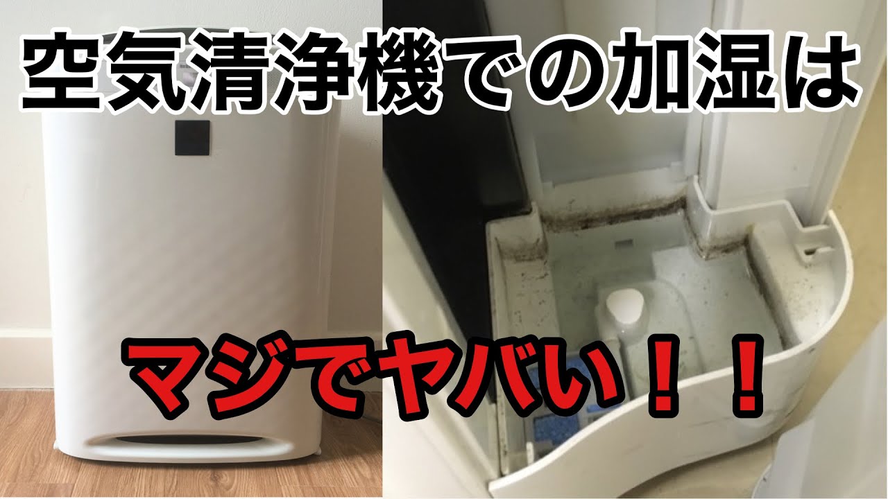空気清浄機はカビだらけ！？空気清浄機に搭載の気化式加湿器が