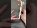 肩甲骨って実は立体的なんです