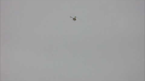 Align Trex 450 inverted