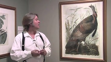 Brian "Fox" Ellis  History in Person