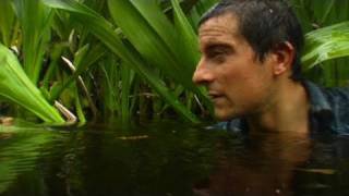 Man vs. Wild - One Wild Adventure