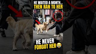 He Still Remembered Her! #shorts #shortvideo #viralvideos #sakura He Still Remembered Her! #shorts #shortvideo #viralvideos #sakura