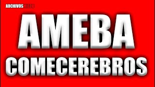 La VERDAD de la AMEBA COMECEREBROS