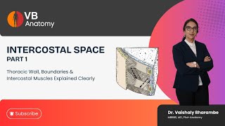 Intercostal Space | Part 1 | Thoracic Wall, Boundaries & Intercostal Muscles Explained Clearly