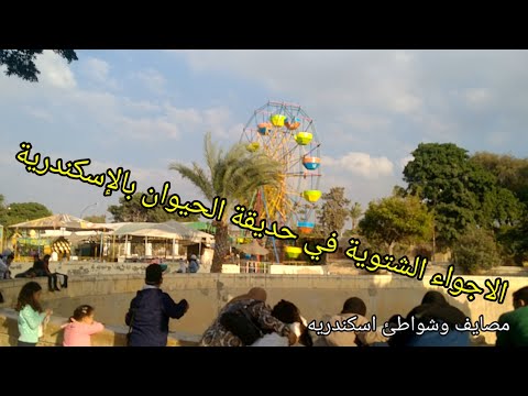 حديقه الحيوان بالإسكندرية والأجواء الشتوية هناك زاحمة جدا وحيوانات جديدة وملاهى كبيرة