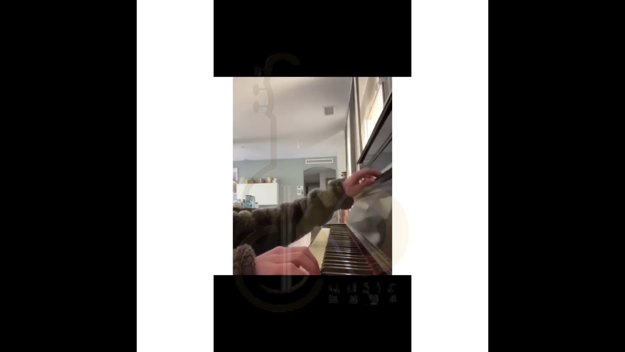 PIANO SLOW SOFT CLOSING FALL DEVICE HYDRAULIC PRESSURE FALLBOARD