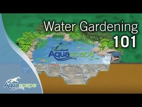 Video: Potřeby pro vodní zahrady – základní vybavení pro zahradní vodní zahradu