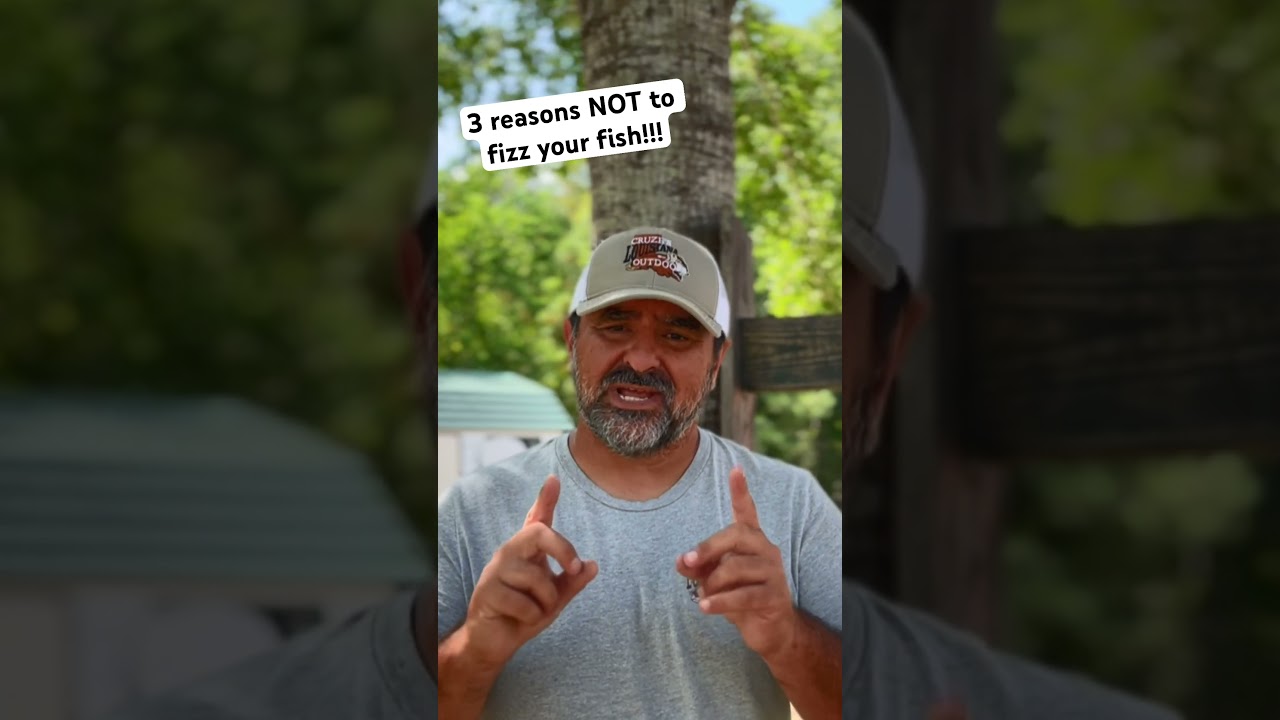 Bass Fishing - Fizzing 