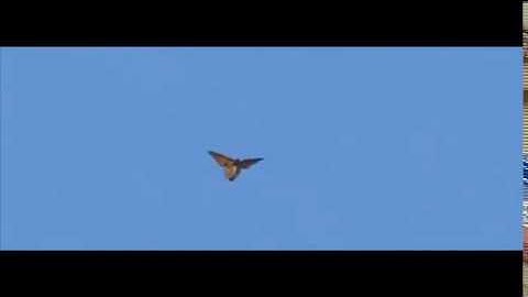 Fall 2016 Emergence Teaser - FSU Lambda Chapter of Theta Nu Xi